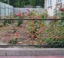 Lepa ograja za sprednji vrt z lastnimi rokami