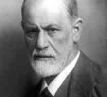 Kratek in razumljiv o psihoanalizi Freuda
