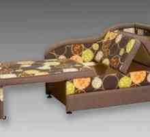 Kavč v kuhinji s posteljo: modeli z naslonjali