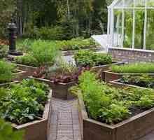 Krajinsko oblikovanje postelj: lep vrt z lastnimi rokami