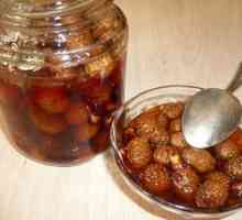 Zdravljenje marmelade iz bora, receptov in prednosti