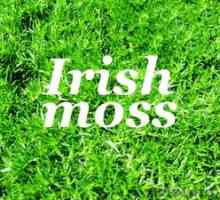 Zdravilne lastnosti irskega maha, receptov in pregledov