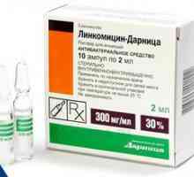 Lincomycin tablete in nyxes: navodila za uporabo v zobozdravstvu