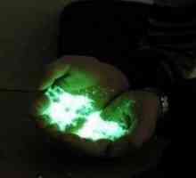 Fluorescentna barva: opis svetleče mešanice, vrste in uporaba