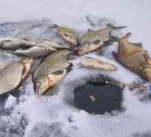 Pozimi pozimi: napotki za uspešen zimski ribolov iz ledu