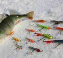 Najboljši rešitvi za zimski ribolov velikega ostriža