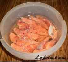 Najboljši recepti za luženje roza lososa doma