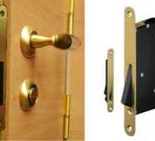 Magnetne ključavnice na notranjih vratih - značilnosti izbire