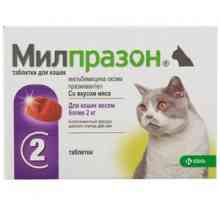 Milprazone: navodilo za uporabo za mačke in pse