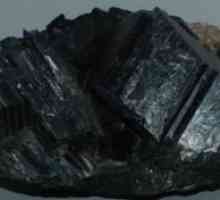 Mineralni ogljik: lastnosti in uporaba kamna