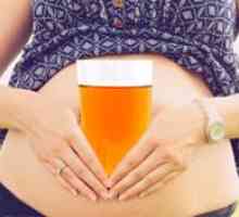 Noseče ženske lahko pijejo brezalkoholno pivo