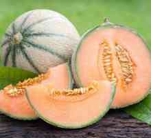 Moška melona cantaloupe: sorte, sestava in uporaba