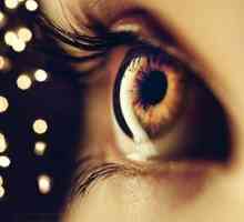 Mišice očesnega očesa in njihove očilomotorske funkcije
