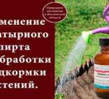Amonijev alkohol: značilnosti uporabe rastlin