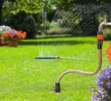 Črpalka povečuje pritisk vode za zalivanje vrta v državi