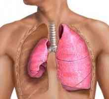 Obturacija in stiskanje atelektrisa pljuč: kaj je to?