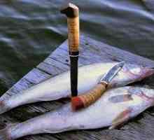 Osnovni modeli ribolovnih nožev za ribolov
