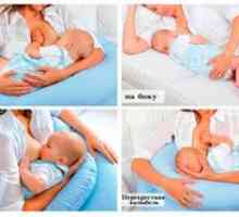 Osnovni položaji za dojenje novorojenčka