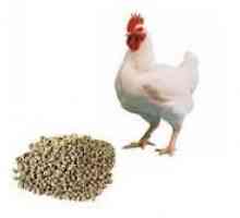 Značilnosti mešanih krmil za piščance (sestava, krma)