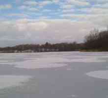 Značilnosti ribolova postrvi pozimi od ledu