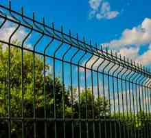 Značilnosti kovinskih ograj in ograj