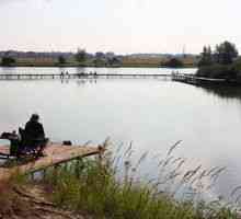Značilnosti ribolova na rezervoarjih v Krasnogorsku
