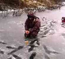 Značilnosti ribolova v zimski sezoni