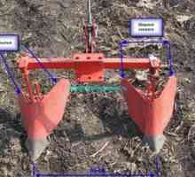 Značilnosti tehnologije sajenja krompirja z uporabo motornega bloka