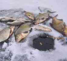 Značilnosti izbire ribolovne linije za ledeno hladen zimski ribolov