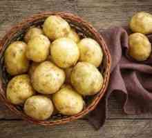 Posebnosti rastočega krompirja