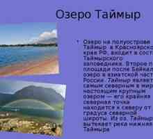 Jezero Taimyr: geografija, podnebje, rastlinstvo in živalstvo