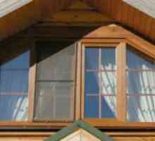 Plastična in lesena okna za hiše