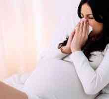 Zakaj lahko kri med nosečnostjo pride iz nosu?