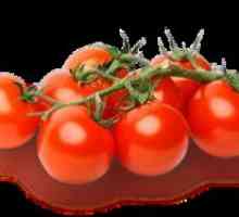 Pridelovanje in karakterizacija češnjevega paradižnika, opis sorte
