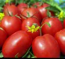Tomato de baro: značilnost in opis
