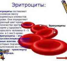Povečane rdeče krvne celice v otrokovem krvi