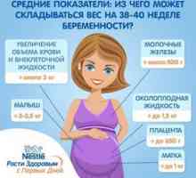 Povečanje telesne mase med nosečnostjo