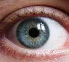 Vzroki in zdravljenje beljakovin rumenega očesa