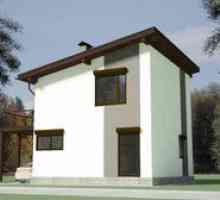 Primeri projektov hiš s strešno streho, foto