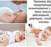 Cepljenje in revakcinacija otrok z aknami