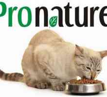 Pronatyur holističen za mačke: odlična kakovost krme iz Kanade