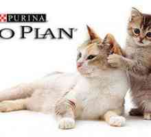 Proplan: sestava in izbor mačke iz purina