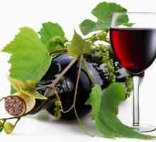 Enostavne recepte vina doma