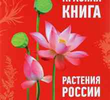 Rastline, ki so navedene v rdeči knjigi Rusije