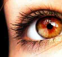Sorte barve oči: oranžna, rdeča, črna, zelena