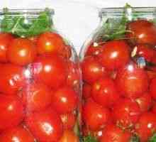 Recepti rahlo soljenih paradižnikov: hitro kuhanje v ponvi