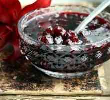 Recepti marmelade za zimo iz grozdja s kostmi