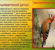 Redke in ogrožene vrste ptic, vključene v rdečo knjigo