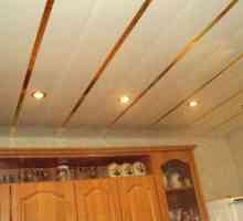 Reed stropi za kuhinjo - metode pritrjevanja in fotografije