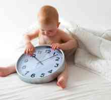 Dnevni režim za otroka 8 mesecev, urnik spanja in hranjenja